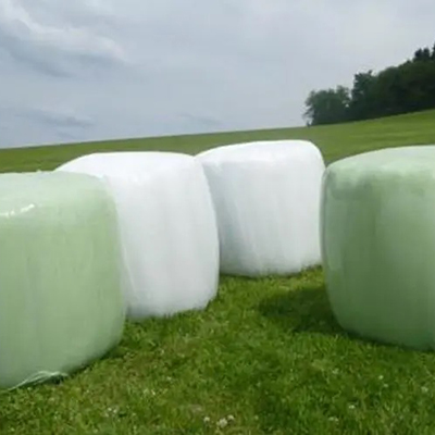 Forage film