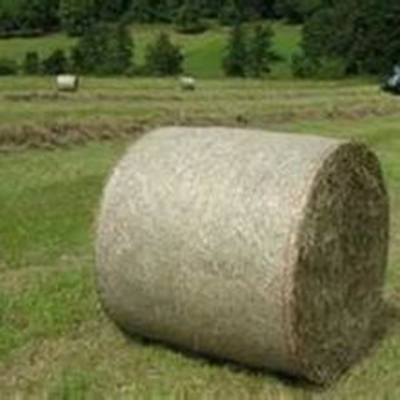 Bale net